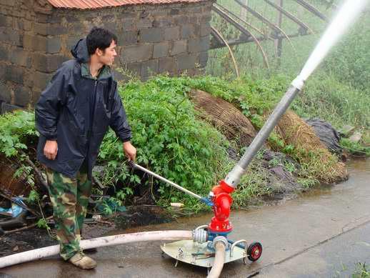 供應(yīng)PL32手動固定式泡沫-水兩用炮