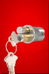 供應TownSteel（城鋼）B級商用鎖芯，美標高安防鎖芯