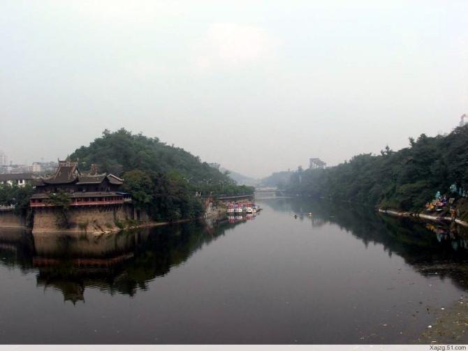 供應(yīng)良種鯽魚大鯽魚魚苗良種鯽魚大鯽魚魚苗）