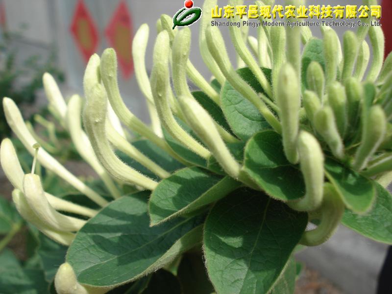 供應(yīng)石家莊烘干設(shè)備廠家