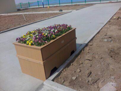 青島最優(yōu)質(zhì)的木塑花箱圖片