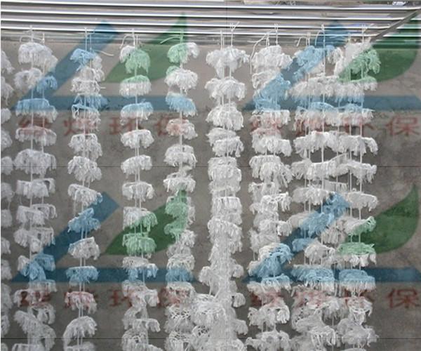 組合式雙環(huán)填料圖片/組合式雙環(huán)填料樣板圖 (3)