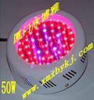 供應LED植物補光燈