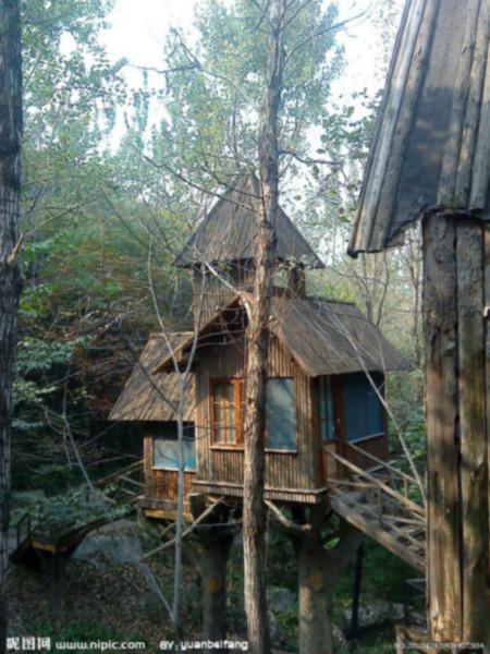 供應樹屋設計-樹屋度假村設計-樹屋規(guī)劃