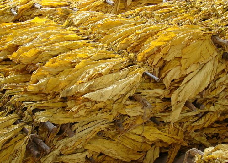 供應空氣能熱泵熱泵煙葉烘烤設(shè)備 歐卡能空氣能熱泵熱泵煙葉烘烤設(shè)備