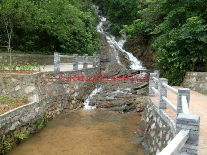 供應(yīng)好吃好玩的生態(tài)果園-有名的生態(tài)果園-生態(tài)果園聯(lián)系電話
