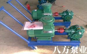 KCB齒輪油泵圖片/KCB齒輪油泵樣板圖 (2)