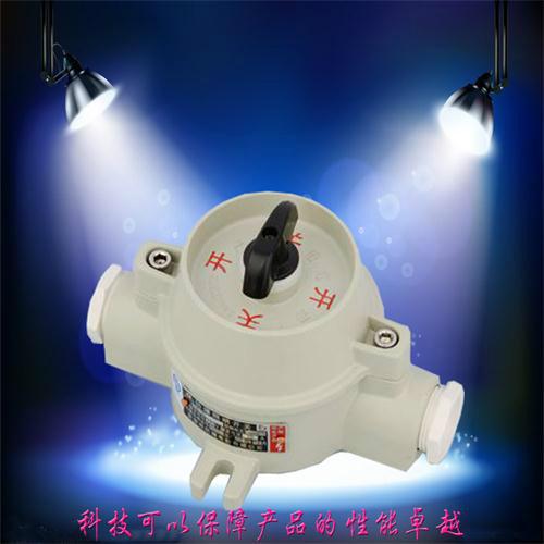 *熱銷防爆照明開關，SW-10防爆照明開關廠家