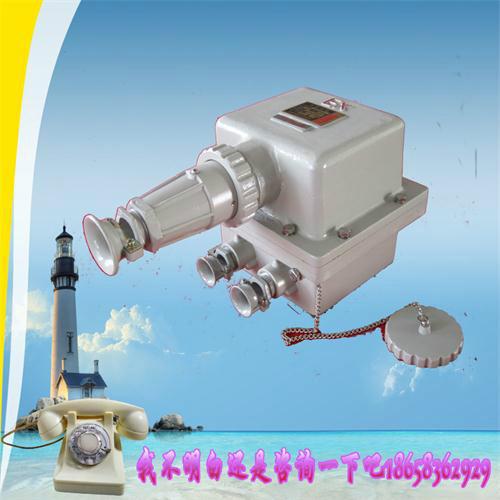 AC-16防爆插銷圖片