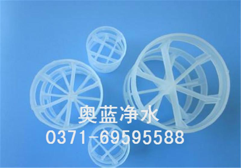 供應(yīng)鮑爾環(huán)填料，鮑爾環(huán)填料廠家 ，鮑爾環(huán)填料價(jià)格