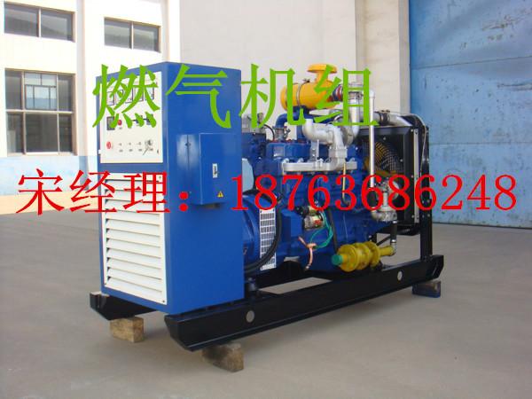 供應(yīng)濰坊50KW燃氣機組