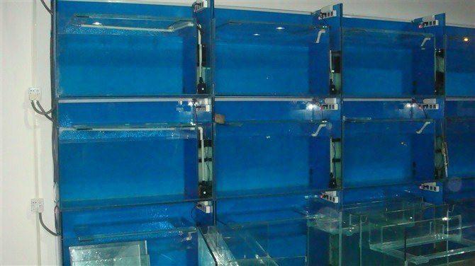 廣州海鮮池生產(chǎn)廠家/南沙海鮮池定做制冷機公司/定做大排檔海鮮池優(yōu)惠