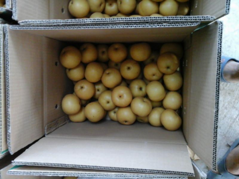 供應(yīng)碭山梨上市