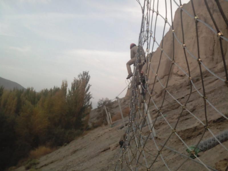 供應邊坡綠化防護施工，邊坡綠化防護施工廠，邊坡綠化防護施工程