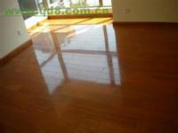 供應常州市·鐘樓區(qū)地板打蠟