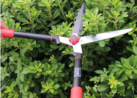 臺(tái)灣產(chǎn)佐川吉1035整籬剪圖片