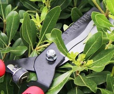 佐川吉1016整籬剪價格、佐川吉整籬剪、波浪型 綠籬剪 園藝*