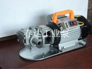 供應(yīng)云南手提泵便攜式手提泵 WCB型手提節(jié)能泵 微型手提式輸油泵