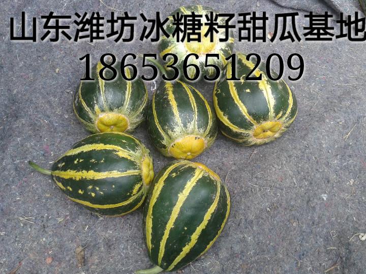 供應(yīng)山東濰坊羊角蜜甜瓜產(chǎn)地