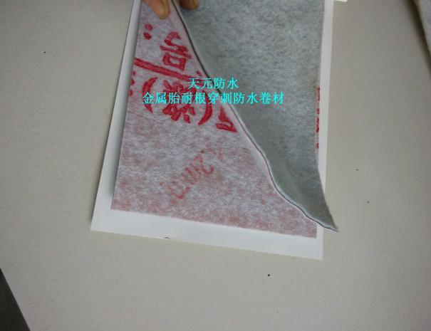 杭州耐根穿刺防水卷材1.2mm圖片