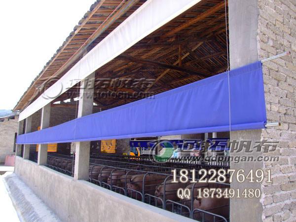 河源卷簾帆布_紫金豬場透光卷簾定做_梅州防水帆布批發(fā)