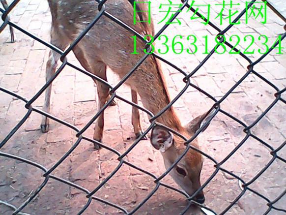 供應(yīng)包塑勾絲網(wǎng) 動物園養(yǎng)殖網(wǎng) 體育場勾花網(wǎng)