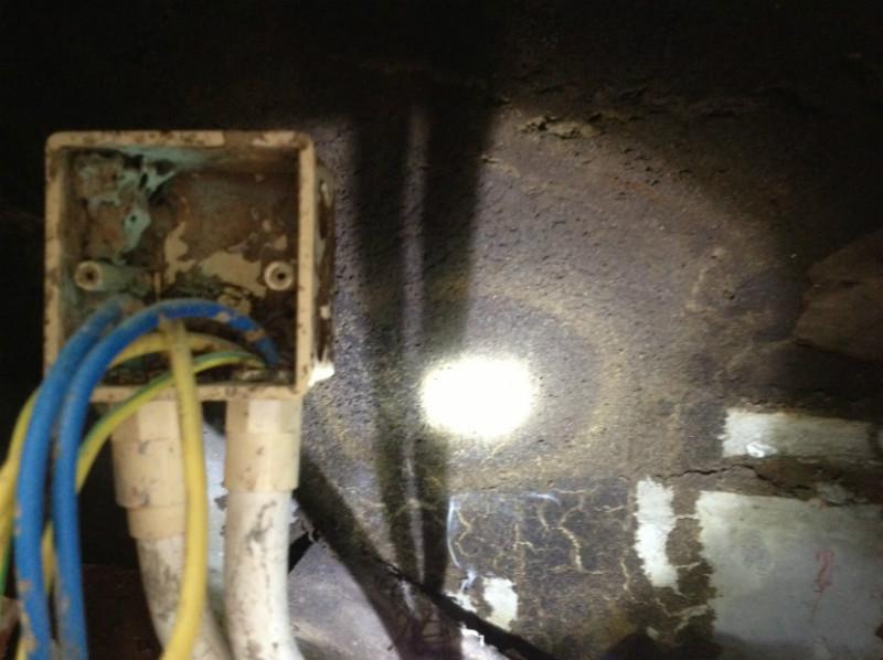 供應(yīng)長(zhǎng)塘村白蟻防治，長(zhǎng)塘村白蟻防治價(jià)錢，長(zhǎng)塘村白蟻防治價(jià)格