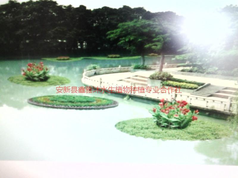 供應(yīng)濟(jì)南生態(tài)浮島種植，浮島種植技術(shù)，浮島制作方法，如何種植浮島