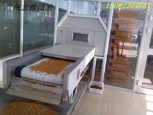 供應ZY-60HM黃粉蟲微波烘干設備