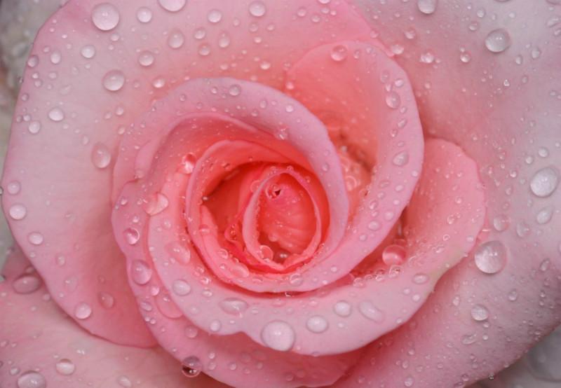 河南大型無縫壁畫什么圖案好圖片