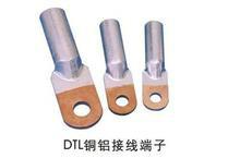 供應(yīng)西安銅鋁鼻子DTL-50