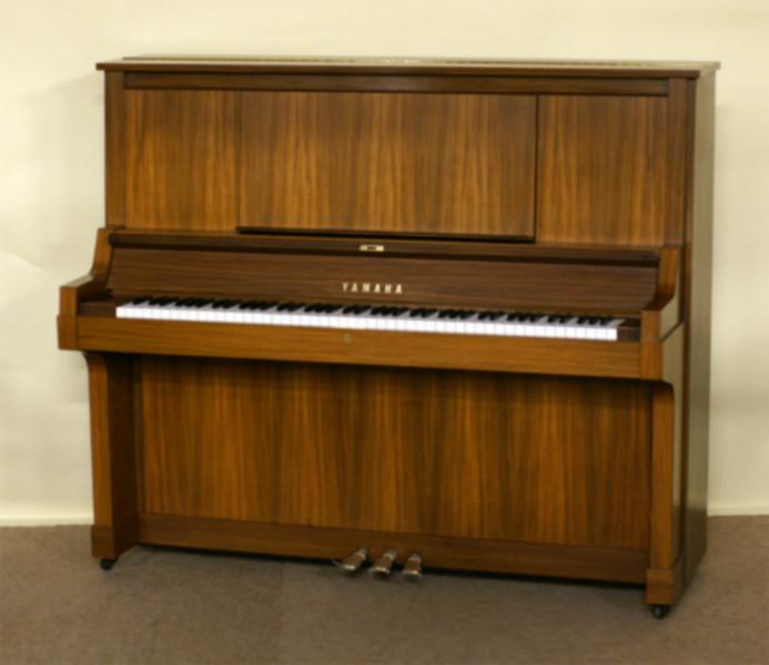 大良買古箏、容桂葫蘆絲出售、倫教吉他培訓，信賴*