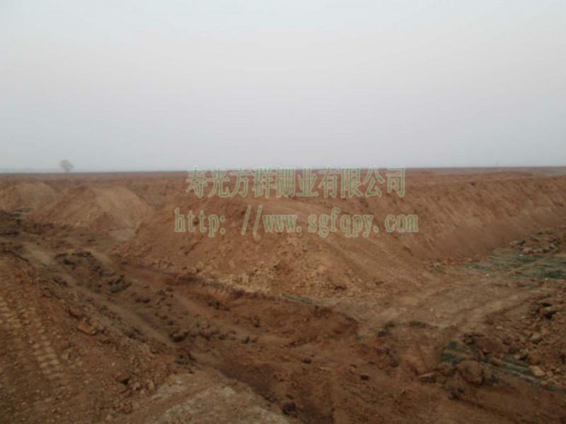 高邑縣在建施工現(xiàn)場-方群棚業(yè)圖片