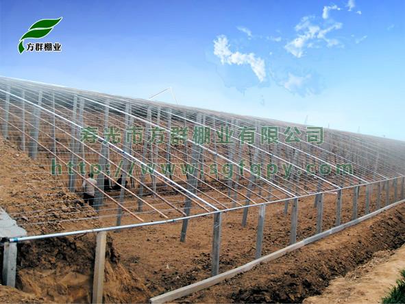 供應(yīng)大棚溫室建設(shè)