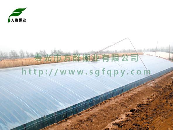 供應(yīng)專業(yè)建設(shè)大棚有效防凍害
