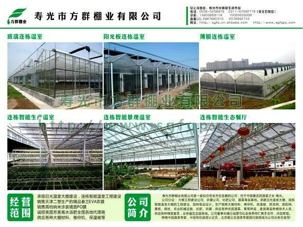 溫室建設(shè)方群更專業(yè)圖片