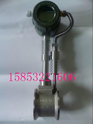 蒸汽渦街流量計廠家圖片/蒸汽渦街流量計廠家樣板圖 (2)