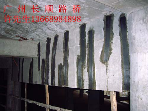 廣東廉江橋梁加固工程圖片