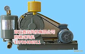 301s回轉(zhuǎn)式鼓風(fēng)機(jī)章丘羅茨風(fēng)機(jī)廠家