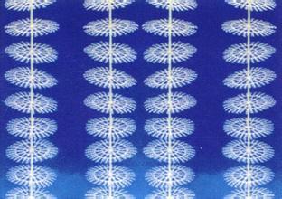 供應(yīng)組合性填料，組合性填料的價(jià)格，組合性填料的生產(chǎn)廠家