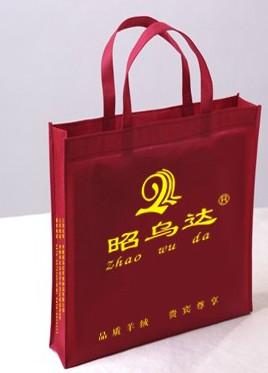 供應(yīng)無(wú)紡布袋廠家石家莊無(wú)紡布袋廠