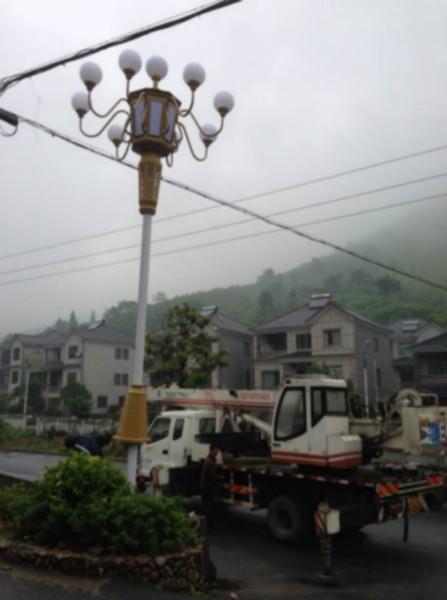 供應(yīng)中華燈照明工程