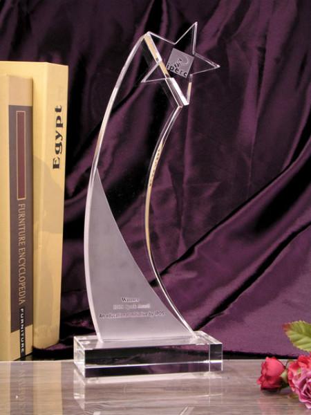 供應人像水晶獎杯