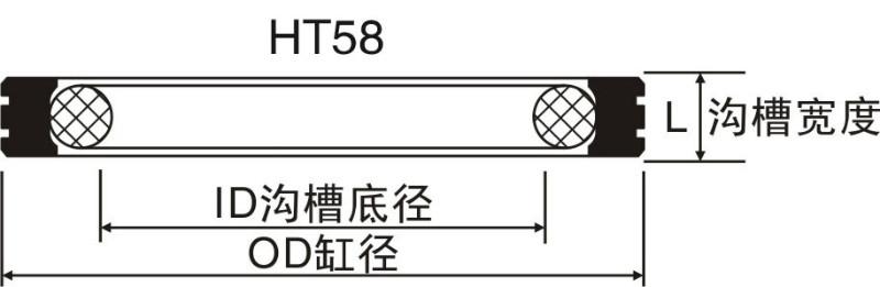 旋轉(zhuǎn)孔用格萊圈圖片