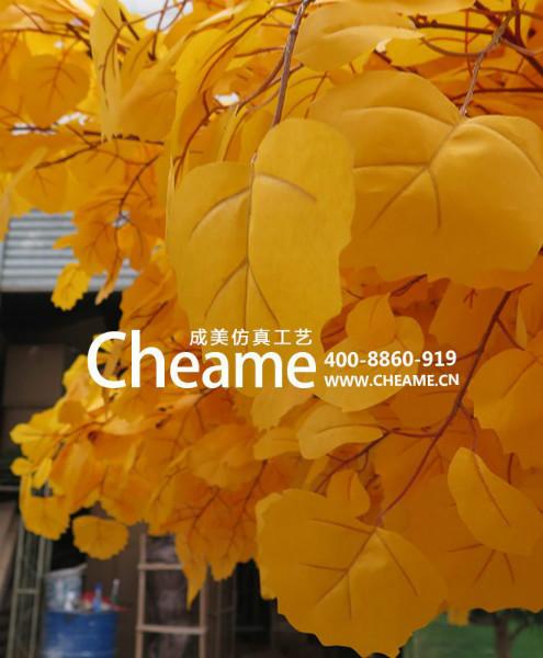 胡楊樹(shù)圖片/胡楊樹(shù)樣板圖 (4)