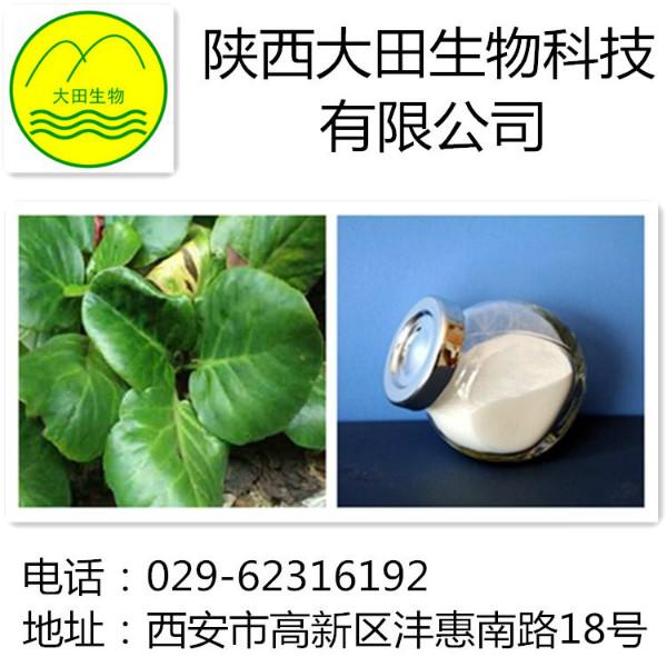 岩白菜素提取物图片