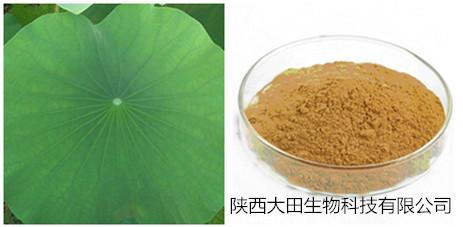 供應(yīng)荷葉提取物有清熱解暑，升發(fā)清陽(yáng)，涼血止血的功效