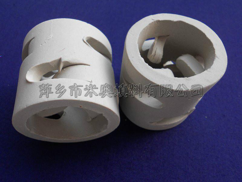 陶瓷鮑爾環(huán)圖片