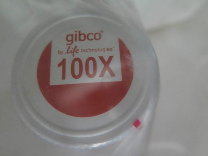 東澳圖片/東澳樣板圖 (4)