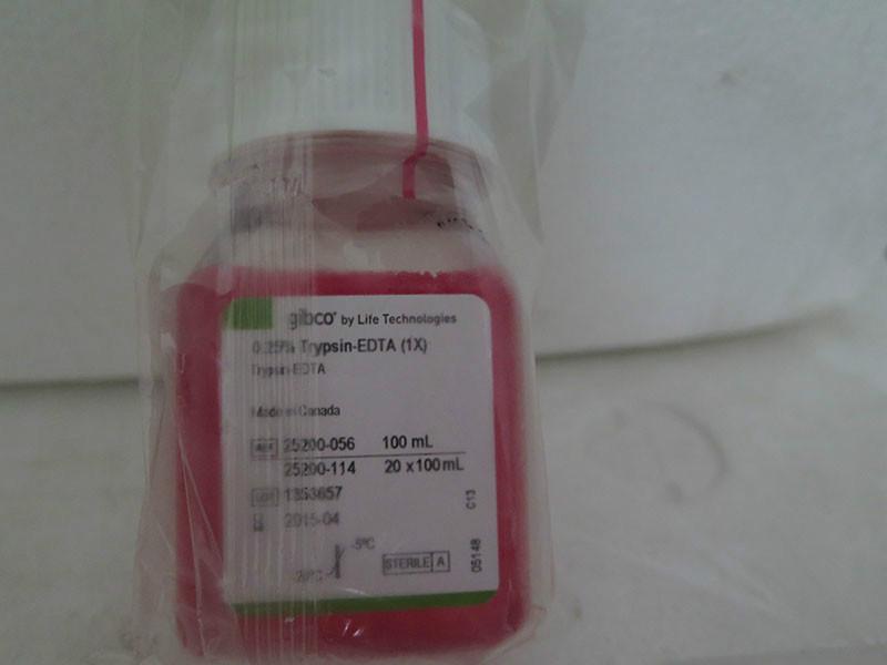 東澳圖片/東澳樣板圖 (2)